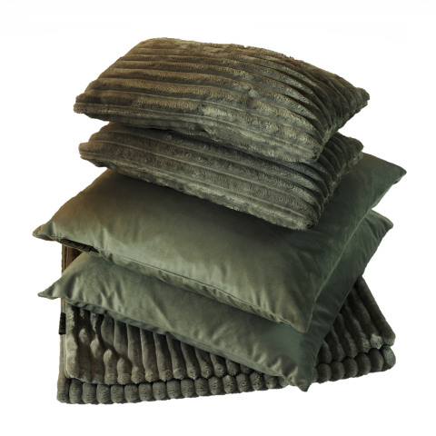 Set aus Decke und Kissen